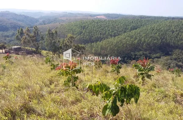 Fazenda à venda, 1450000 m² por R$ 4.500.000,00 - Zona Rural - Capitólio/MG - Foto 4