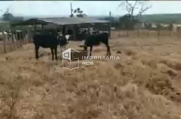 Fazenda à venda, 100 hectares² por R$ 16.000.000 - Arcos/MG - Foto 6