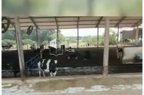 Fazenda à venda, 100 hectares² por R$ 16.000.000 - Arcos/MG - Foto 3