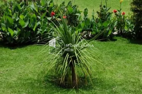 Pousada com 12 suítes à venda, 1200 m² por R$ 2.500.000 - Zona Rural - Capitolio - Capitólio/MG - Foto 5