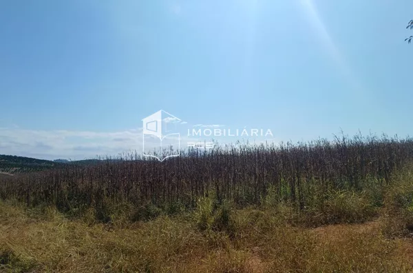 Sítio para venda,  Zona Rural - Capitolio/MG - Foto 5