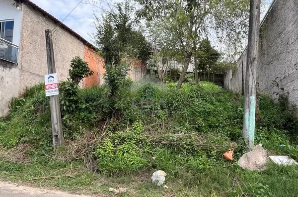 Terreno para venda,  Ana Mary, Telemaco Borba