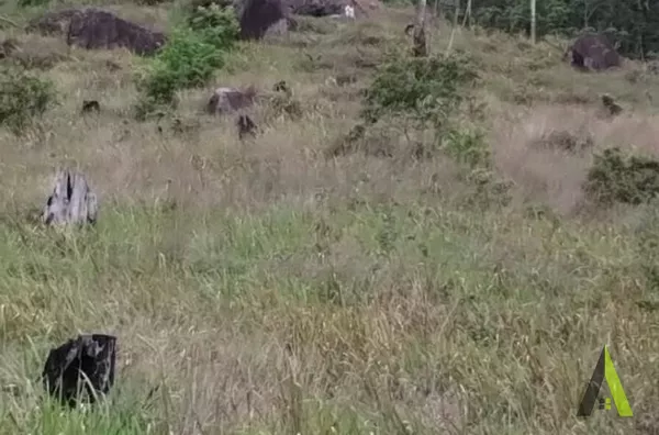 Terreno Próximo a Raposo Tavares em São Roque!