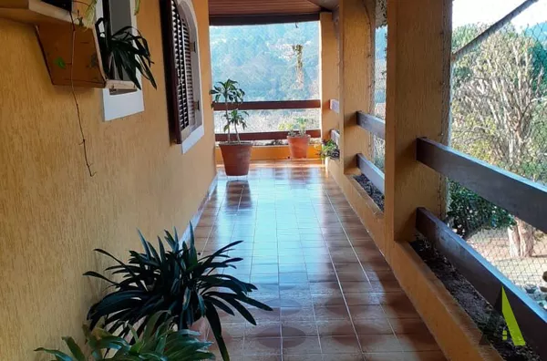 Chácara Rodeada de Muito Verde em São João Novo! 