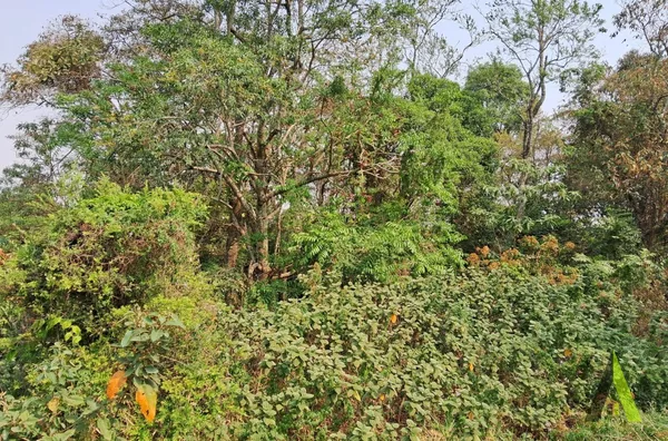 Terreno No Planalto Verde em São Roque!
