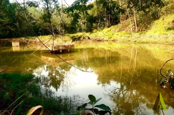  Sítio Lago em Itu!  