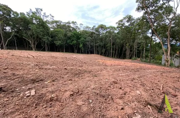 Terreno Plano na Estrada do Vinho! 