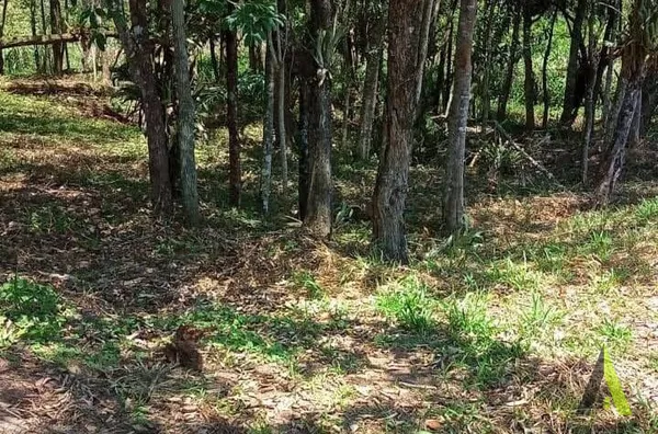 Terreno no Bairro do Pavão em São Roque!