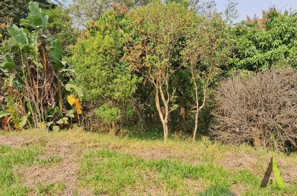 Terreno No Planalto Verde em São Roque!
