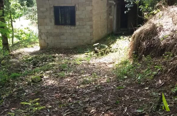 Sítio Rodeado de Muito Verde em Miracatu!