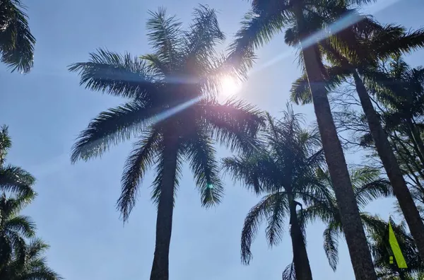 Chácara com Lago em São Roque! 