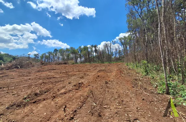  Lotes no Distrito Industrial em Araçariguama!