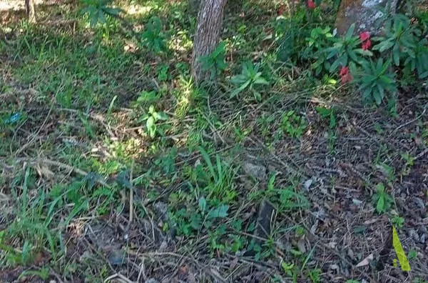 Terreno no Bairro do Pavão em São Roque!