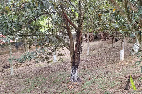 Chácara no Planalto Verde São Roque