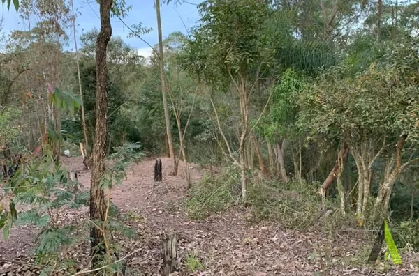 Terreno Plano em São Roque!
