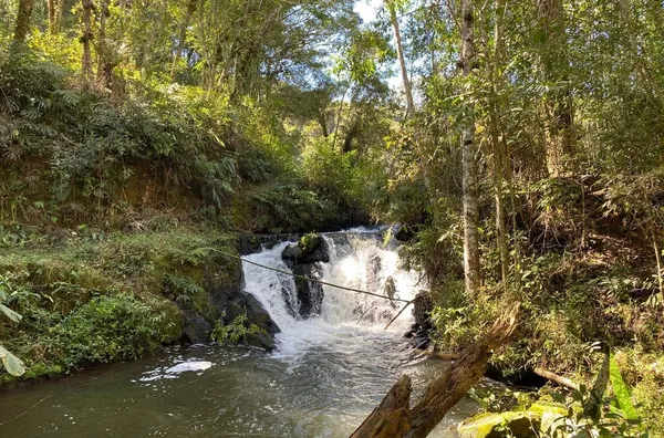 Sítio com Cachoeira em Ibiúna!