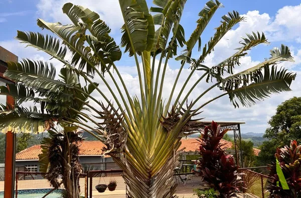 Chácara Completa em Araçariguama! 