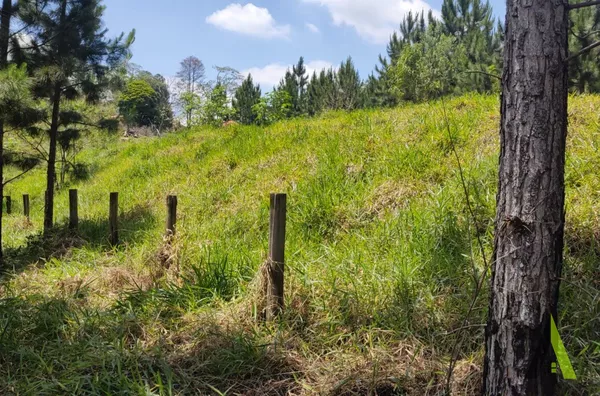 Terreno Incrível no Alto Da Serra em São Roque!