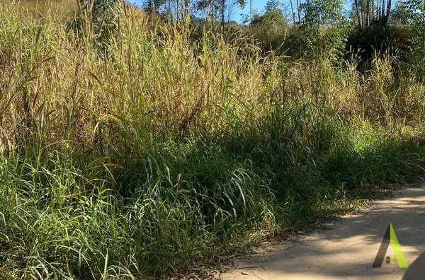 Terreno Próximo a Raposo Tavares em São Roque!