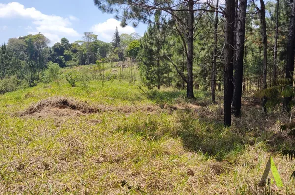 Terreno Incrível no Alto Da Serra em São Roque!