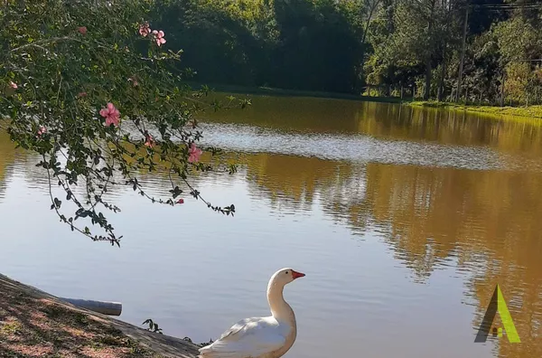 Sitio com Lago e Capela na Estrada do Vinho! 