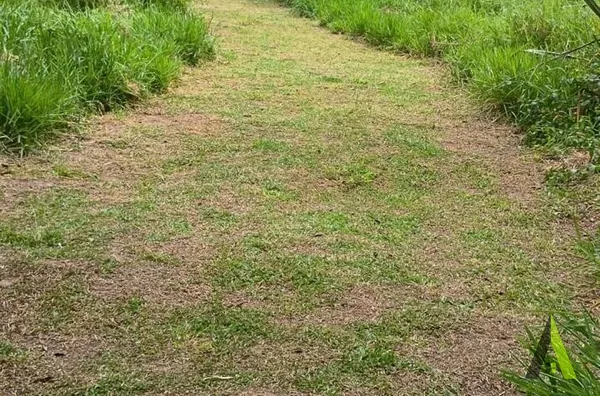 Chácara próximo ao Centro de São Roque!