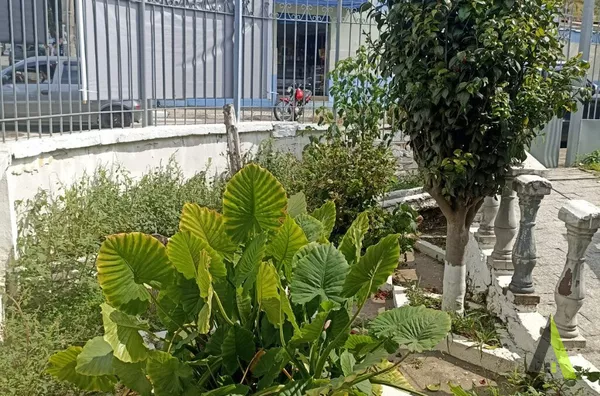 Salas Comercias em São Roque!