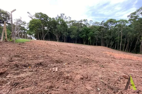 Terreno Plano na Estrada do Vinho! 