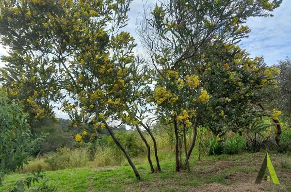 Chácara Próximo ao Centro de São Roque! 