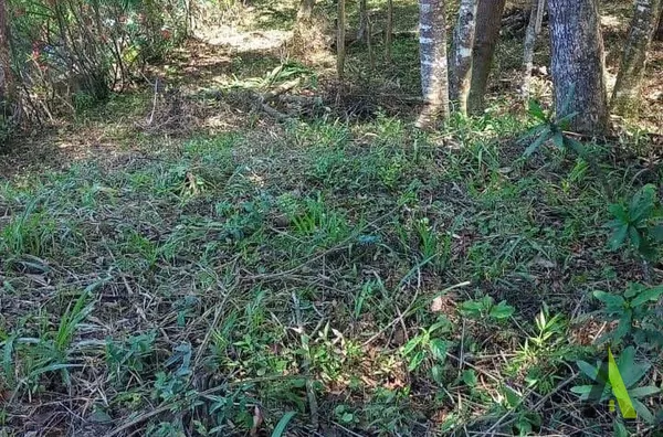 Terreno no Bairro do Pavão em São Roque!