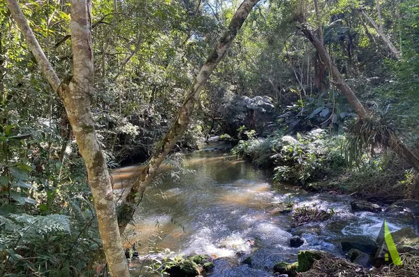 Sítio com Cachoeira em Ibiúna!