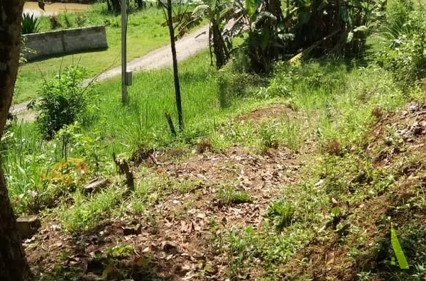 Sítio Rodeado de Muito Verde em Miracatu!