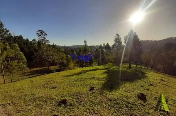 Sítio com 44.000 mil m² a Venda em São Roque! 