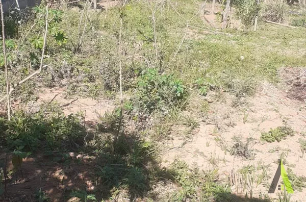 Terreno Pronto para Construir em São Roque!