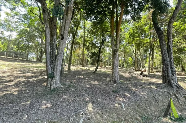 Chácara em Região Nobre de São Roque!