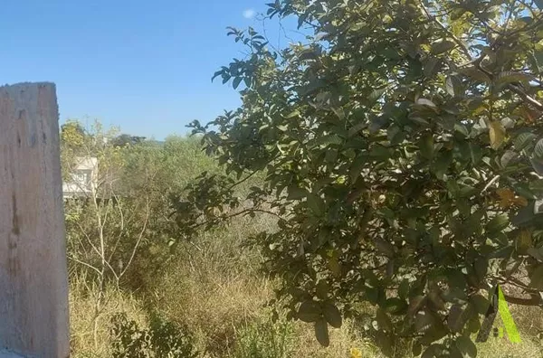 Terreno Plano em Bairro Tradicional de São Roque! 