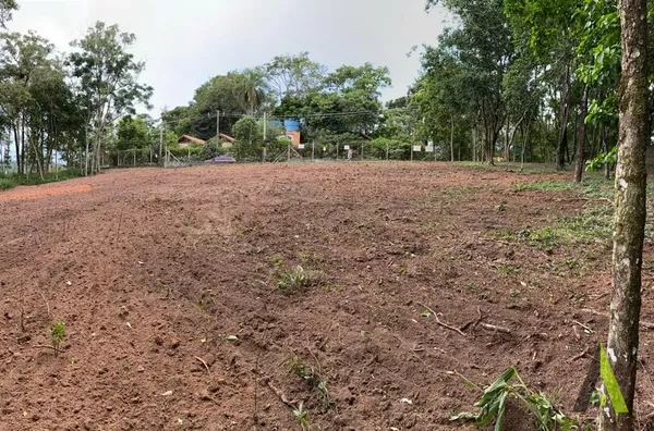 Terreno Plano na Estrada do Vinho! 