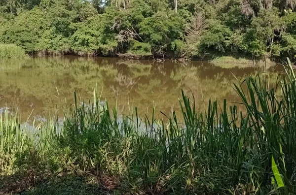 Terrenos a venda em São Roque!