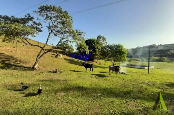 Sítio com 44.000 mil m² a Venda em São Roque! 