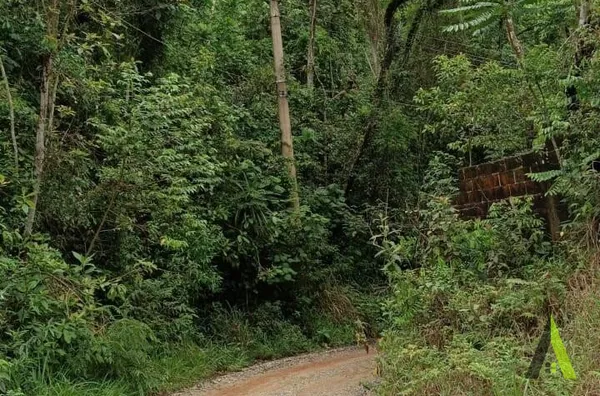 Terreno Próximo a Raposo Tavares em São Roque!