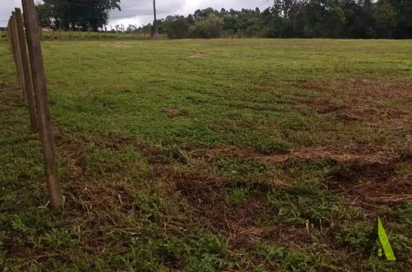 Terreno com Topografia Privilegiada na Estrada do Vinho em São Roque!