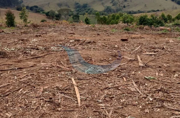 SÍTIO À VENDA EM MUZAMBINHO, COM CAFÉ E EUCALIPTO