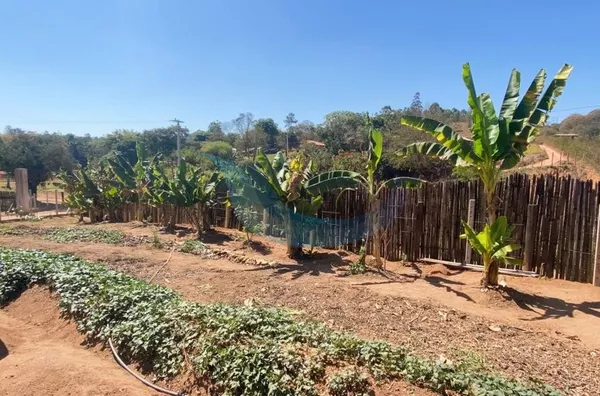 Chácara á venda  em 1 km da cidade de Caconde/SP - Foto 5