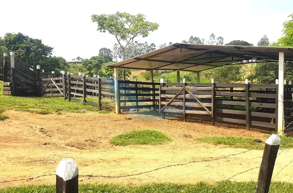 Sítio para venda, 4 quarto(s),  Bairro Bom Jesus, Caconde - Foto 3