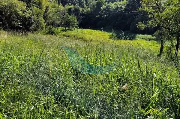 Chácara à venda no Bairro São Miguel em Caconde/Muzambinho (asfaltada)
