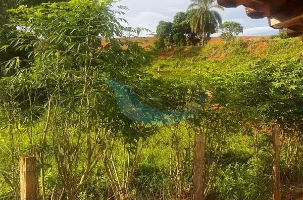 Sítio para venda e locação, 2 quarto(s), Pinheirinho, Caconde - Foto 20