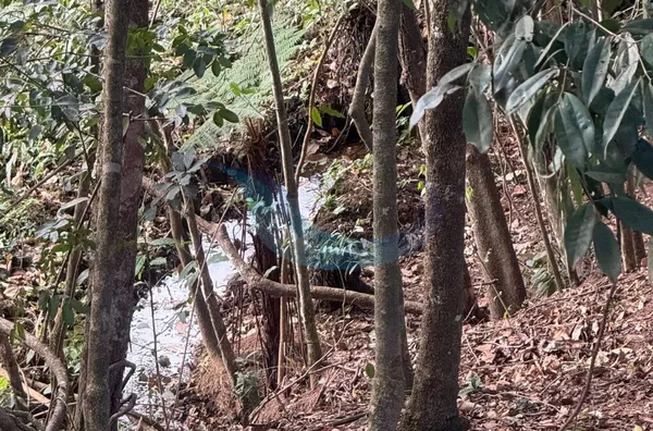 Chácara para venda,  Barro Preto, Caconde - Foto 2