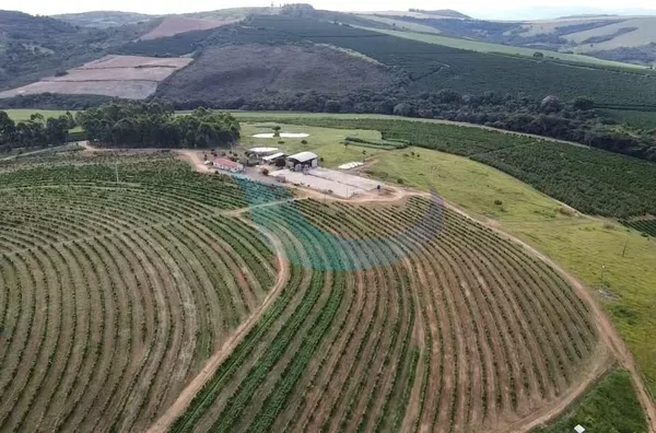 FAZENDA PARA VENDA EM GUAPÉ