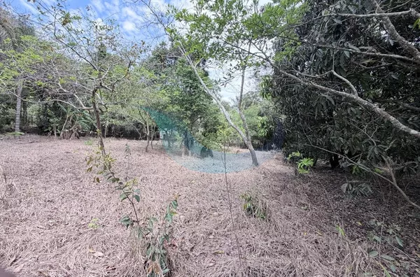 Chácara para venda, 2 quarto(s), Bocaina, Caconde - Foto 7