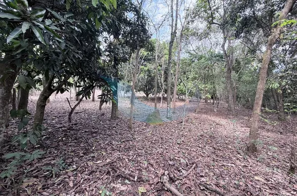 Chácara para venda, 2 quarto(s), Bocaina, Caconde - Foto 6